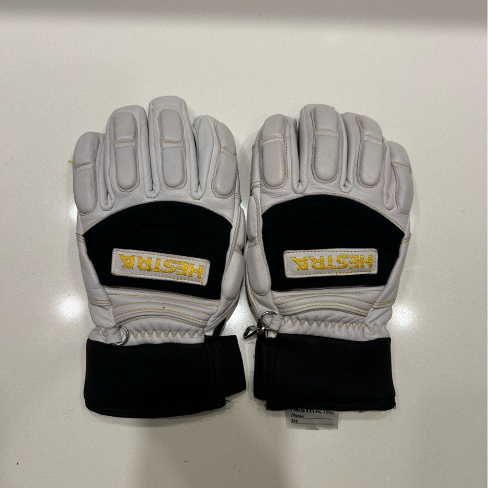 Hestra Leather Ski Gloves